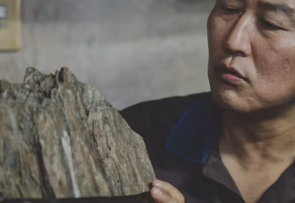 Introduction to Film Studies 3: The Principles of Form